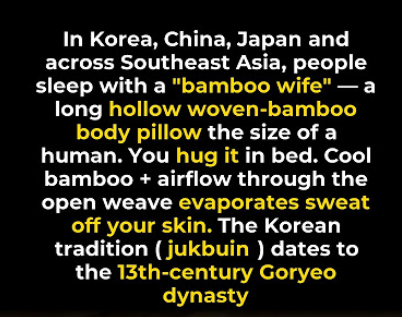 4ce0a5d307cac349927bf049bf648516.png