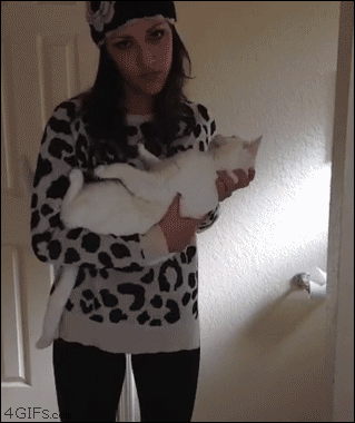 tumblr_na2tanoT9a1tidleeo1_400.gif