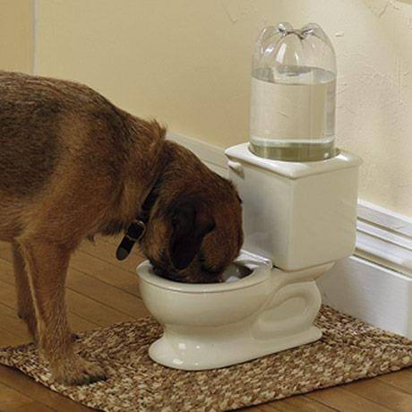 ULULtoilet-1109113.jpg