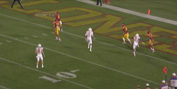 SuLry93_medium.gif
