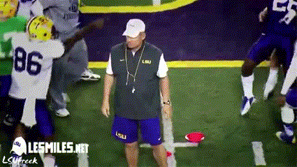lsuharlemshake.gif