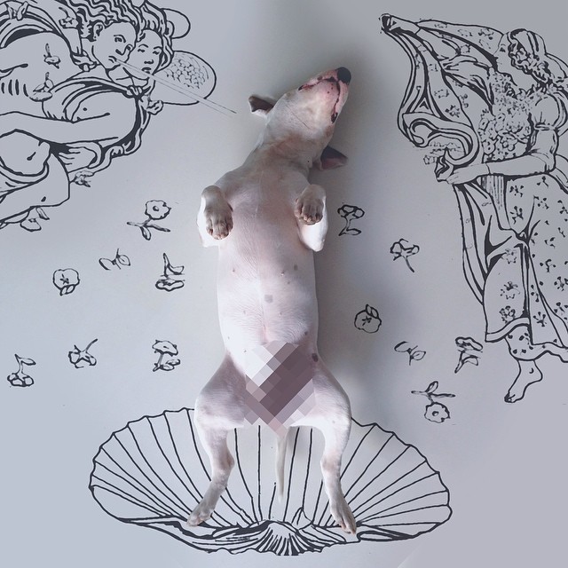 jimmy-choo-bull-terrier-illustrations-rafael-mantesso-12.jpg