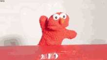 telmo-coca.gif