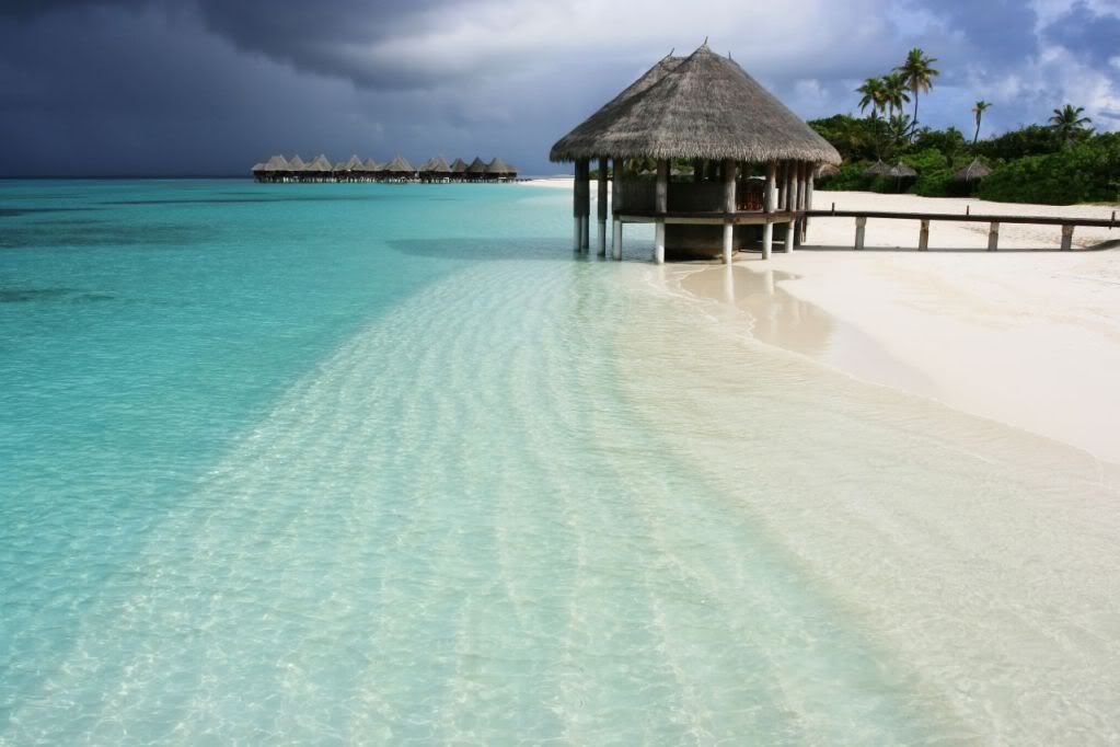 paradise1-2maldives293705214_3165610ca7_o.jpg