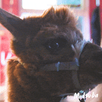 200.gif
