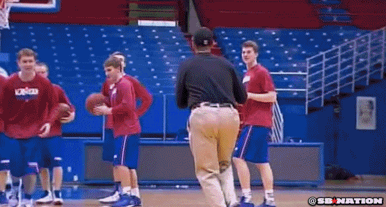 harbaugh.gif