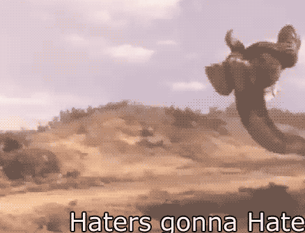 WTF-random-33218250-438-335.gif