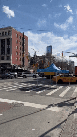 Shamrocking361.gif
