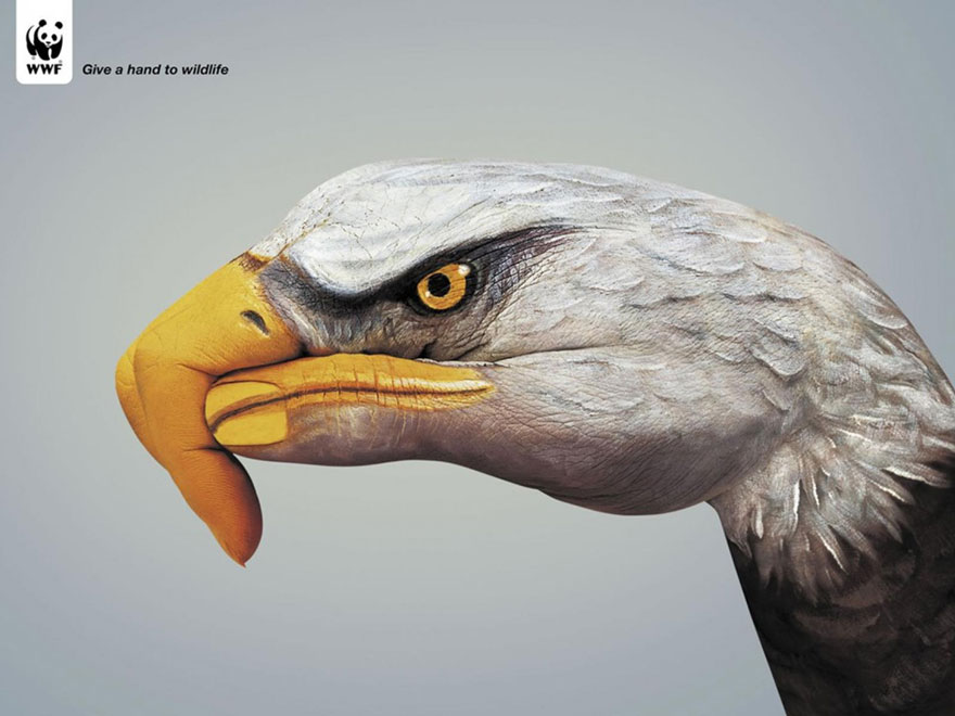 public-social-ads-animals-14.jpg