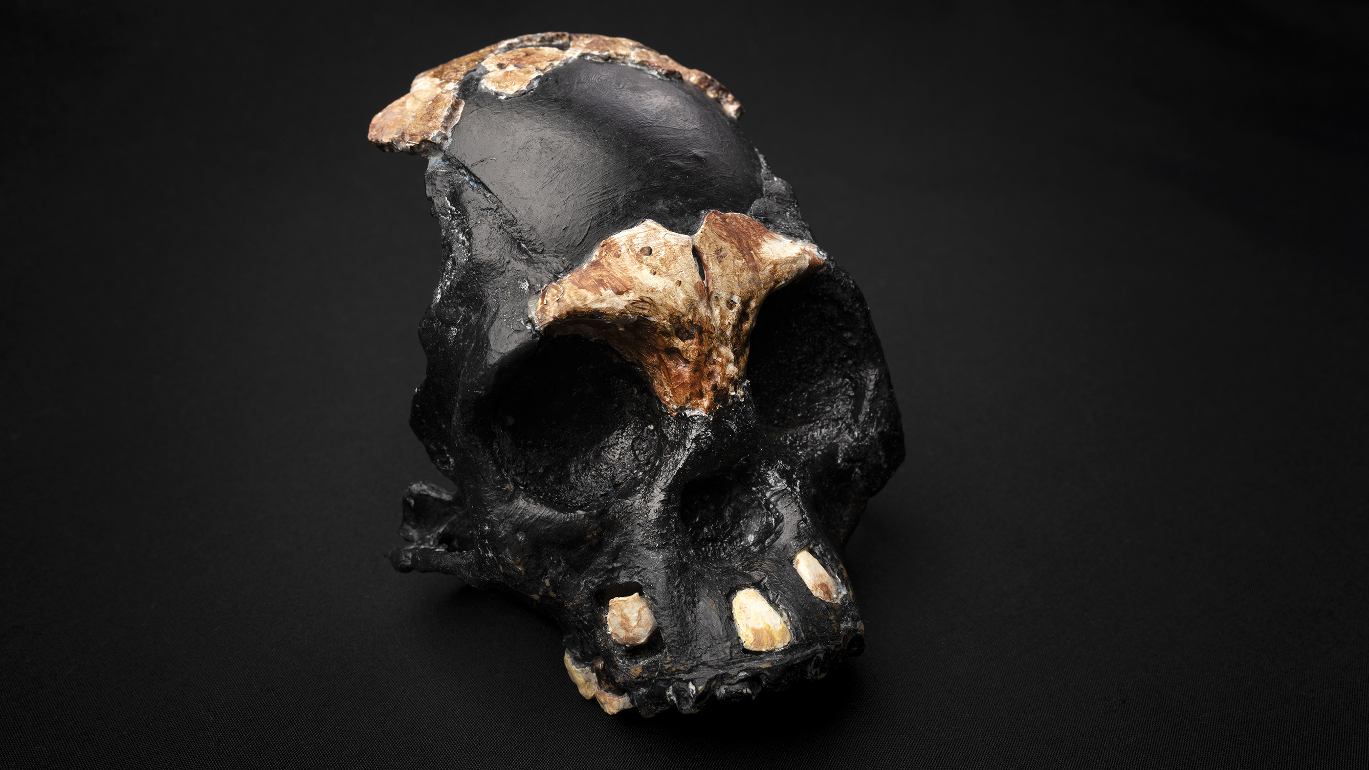 www.livescience.com