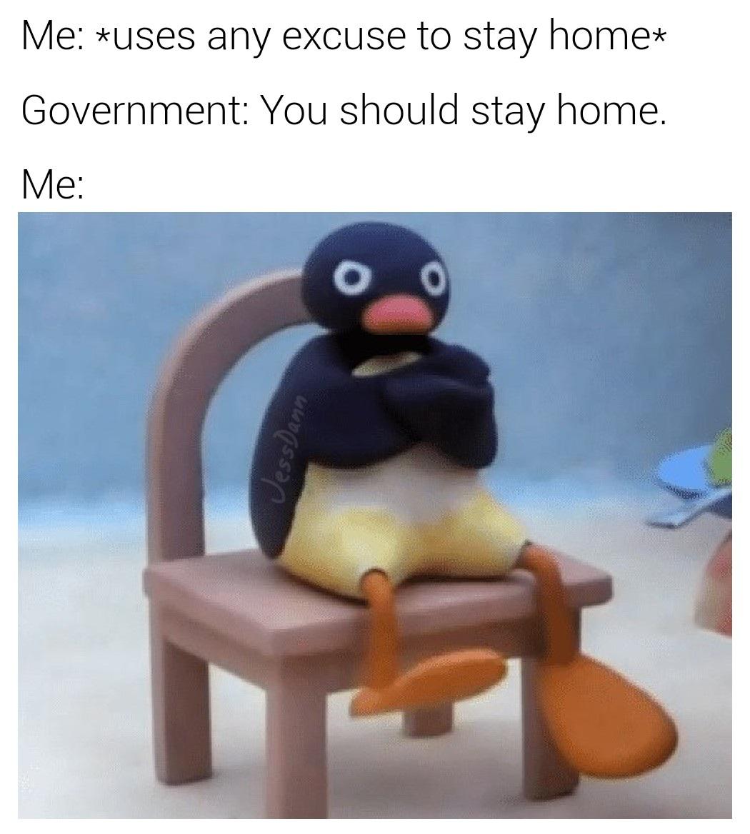 8v0ziqpurvn41.jpg