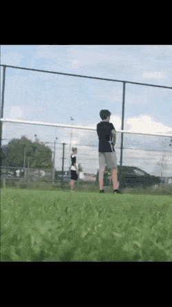 shirkira-shirkira-41.gif