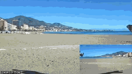 DIjVrNICCkC5DsjzQo-GGw2.gif