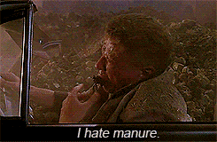 tumblr_m9ojhu8bRf1qhycu9o4_250.gif