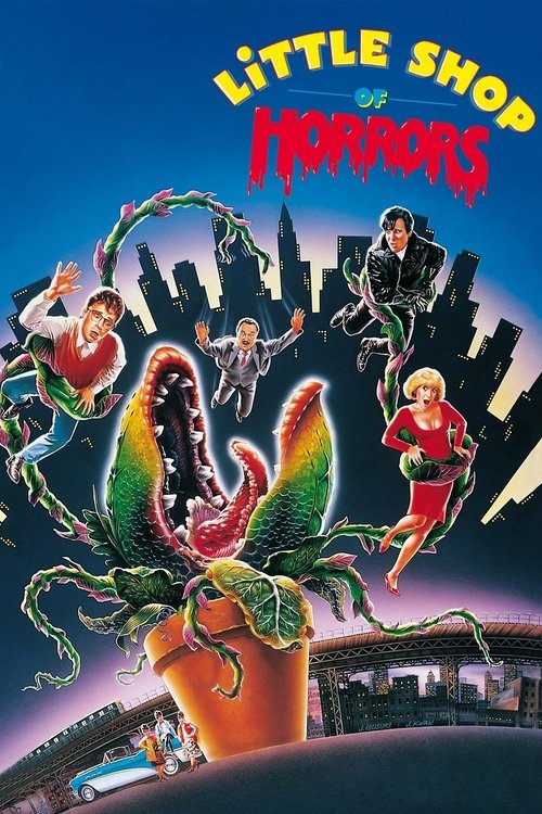 www.themoviedb.org
