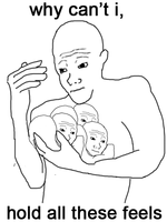 1378257470_why cant i hold all these feels.png