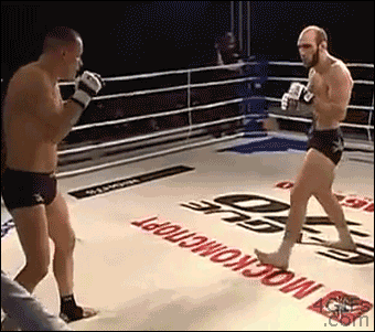 MMA-tornado-kick.gif
