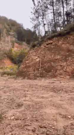 NeedSpring7884.gif