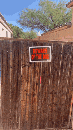 dec-49-2020_8.gif