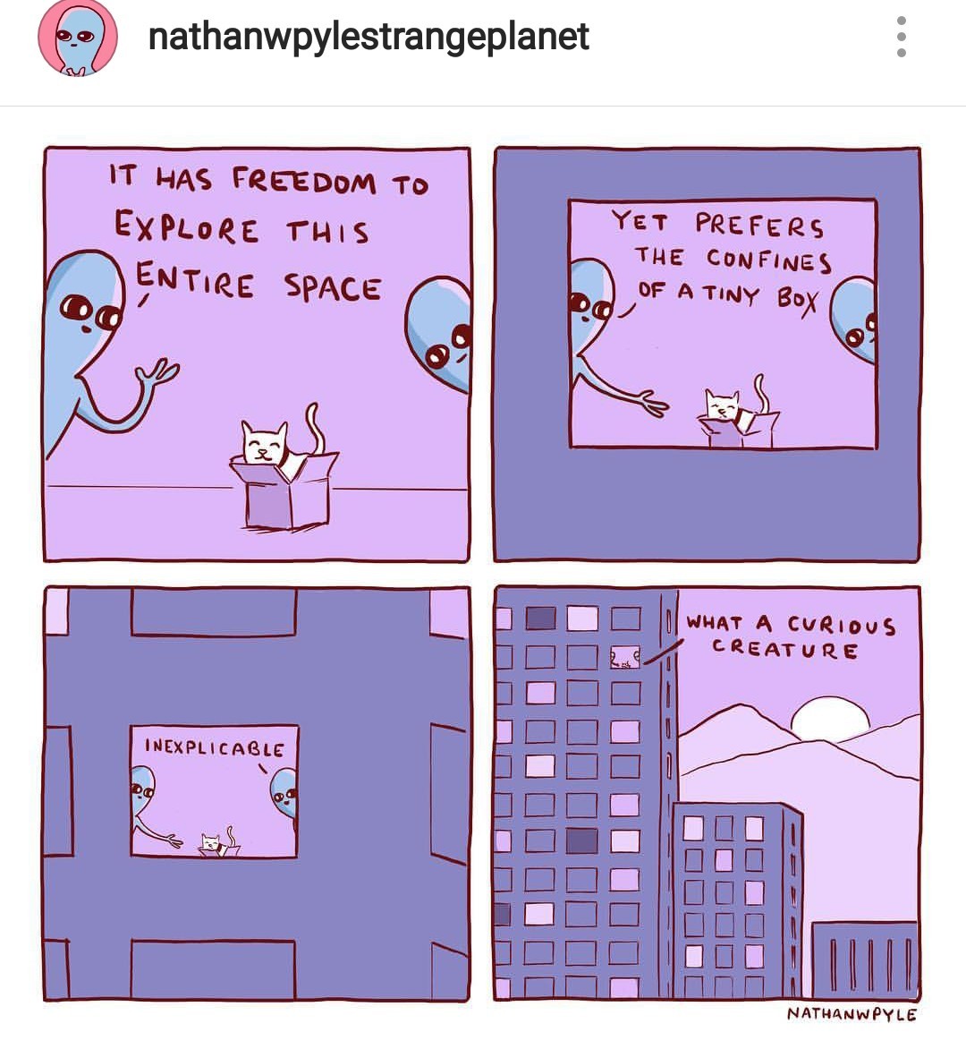 5c7f6eb8187cf.jpeg