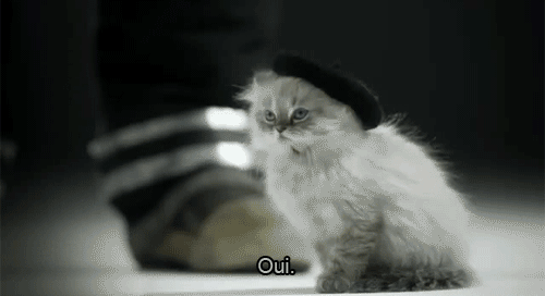 021.gif