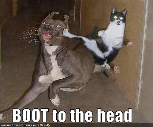 boot-to-the-head