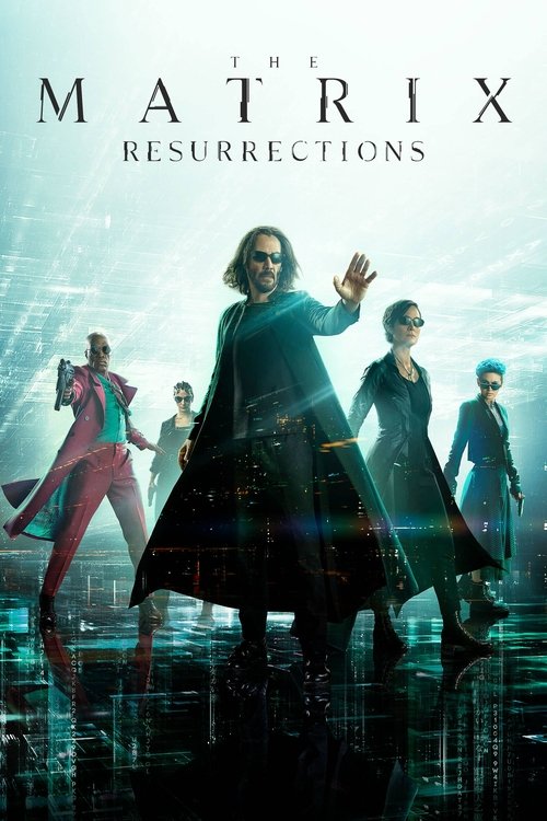 www.themoviedb.org