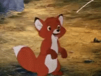 fox-facial-tumbler.gif
