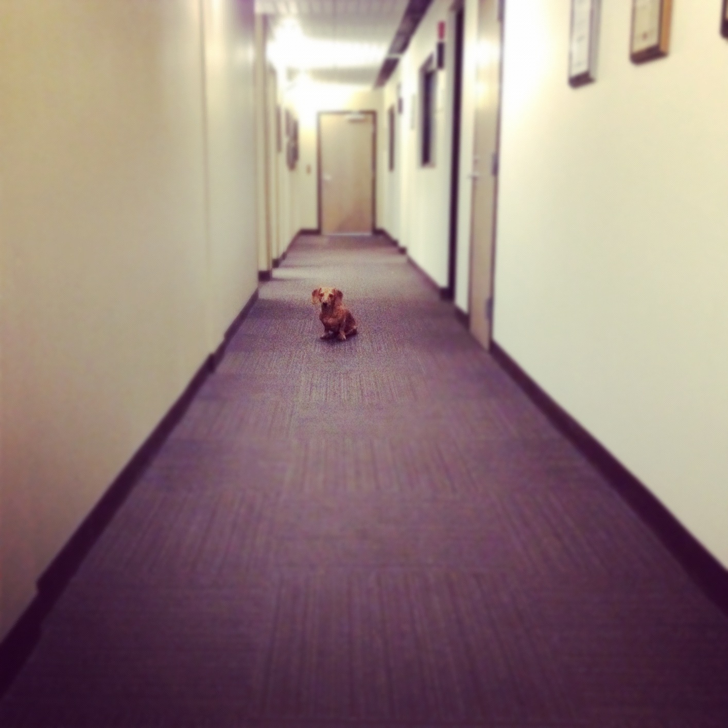hallway.jpg
