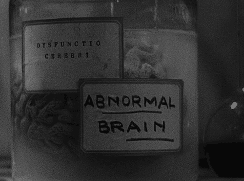 tumblr_md5h4ohViT1r3lc3no1_500.gif