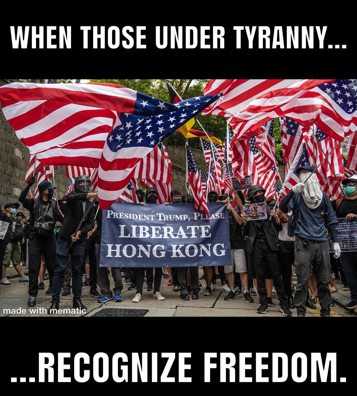 p7i66f9gco141.jpg