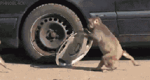 tumblr_mfrrkzcL4V1qzfebyo1_400.gif