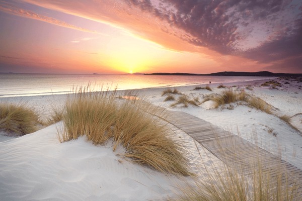 amazing-wooden-path-threw-sand-600nw-2492844925.jpg