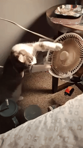 GrowingGardens2419.gif
