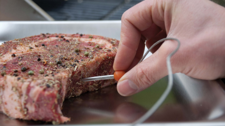 Meat-Thermometers-cover.png