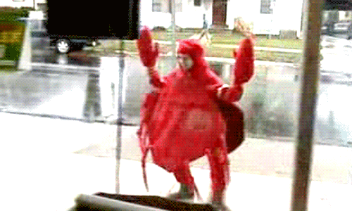 tumblr_nebnliKYkK1u11wp6o1_500.gif