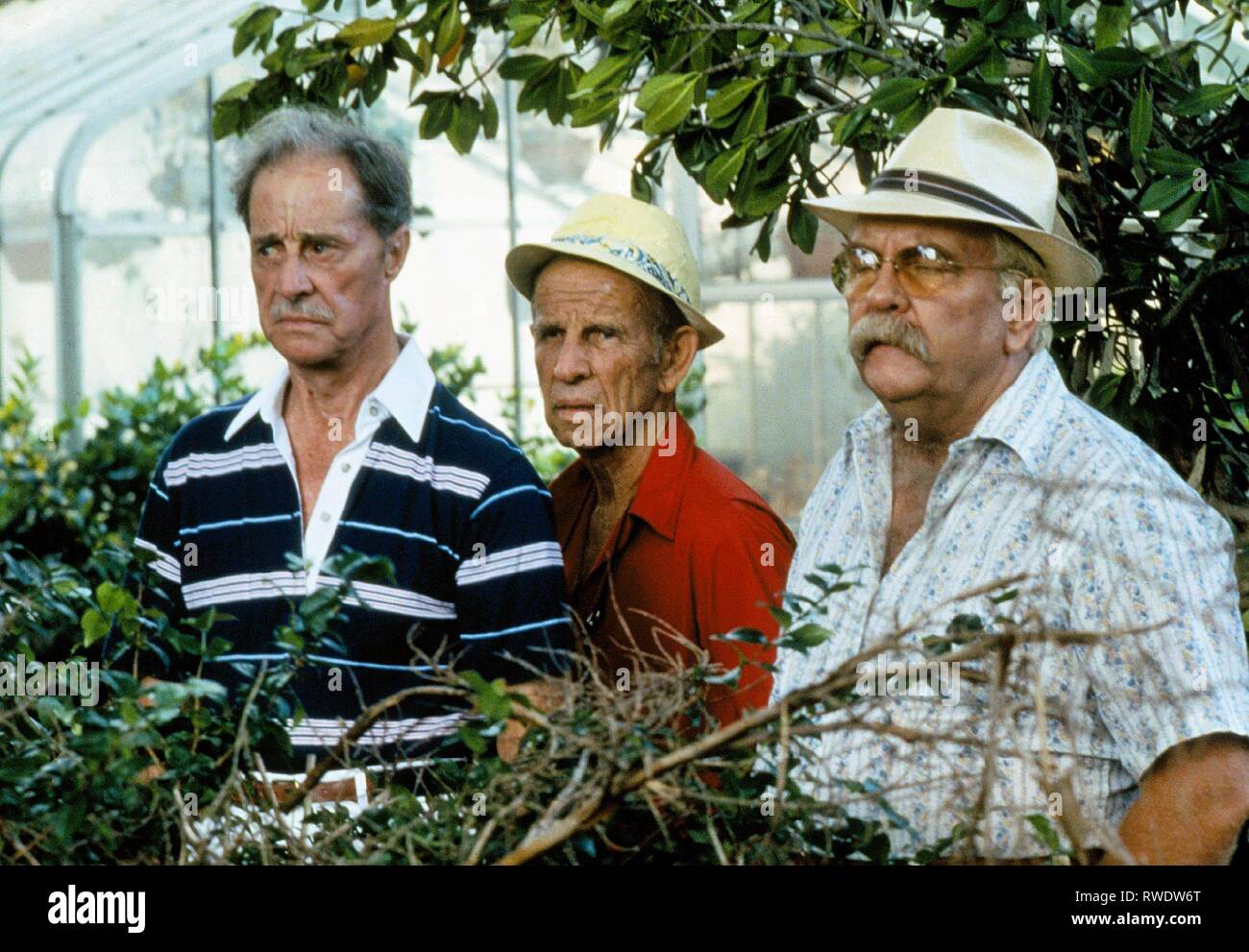 amechecronynbrimley-cocoon-1985-RWDW6T.jpg