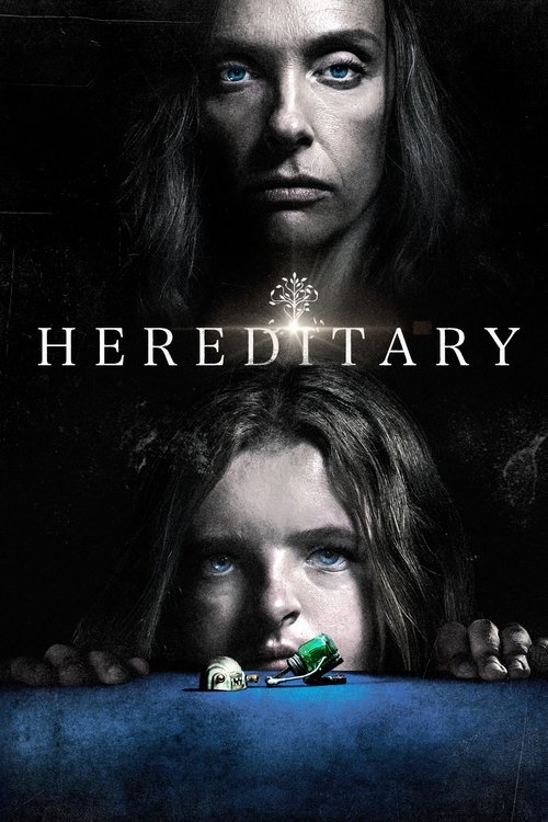 www.themoviedb.org