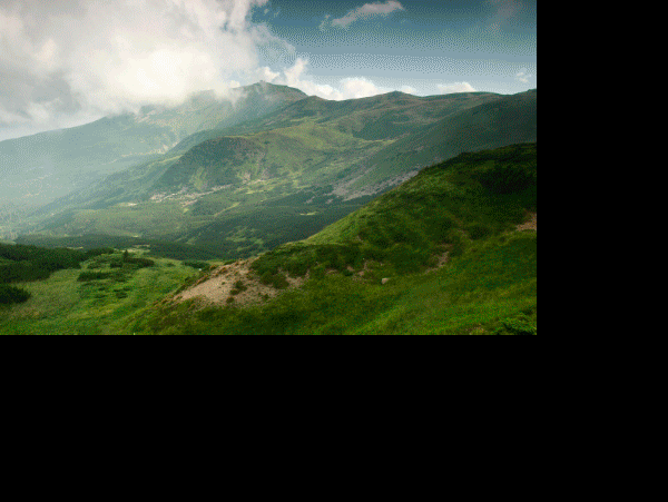 d2c5b210ae026273b43c6fe73300487b.gif