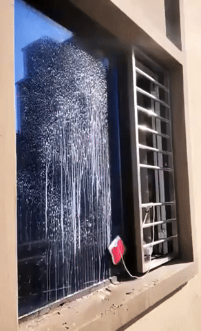 BlankPage6365.gif