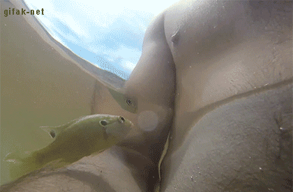 tumblr_nsxhd0HLGj1s2yegdo1_500.gif