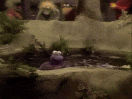 read hip hip hooray GIF