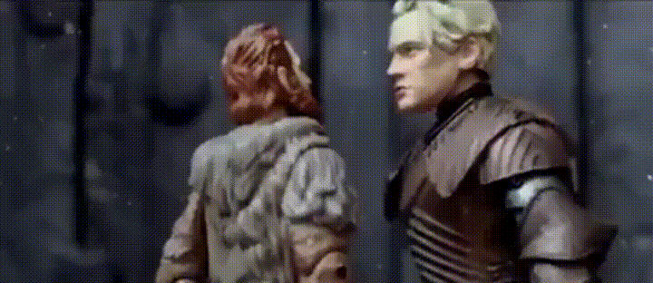 g0ocj88tvgdz.gif
