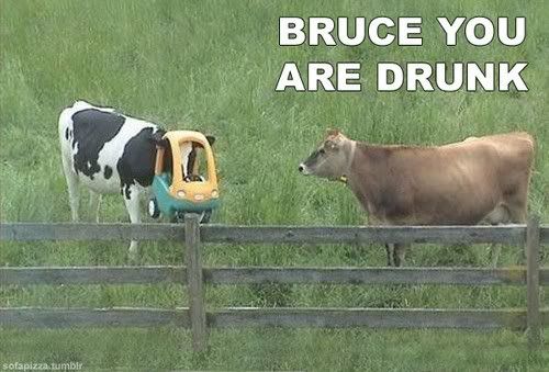 bruce.jpg