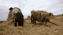 boerenkool-kool.gif