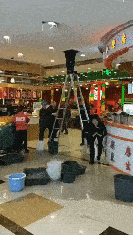 m8afmybp1e231.gif