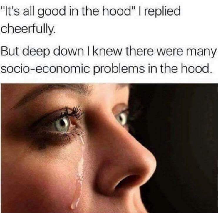 1nsc80lgmbnz.jpg