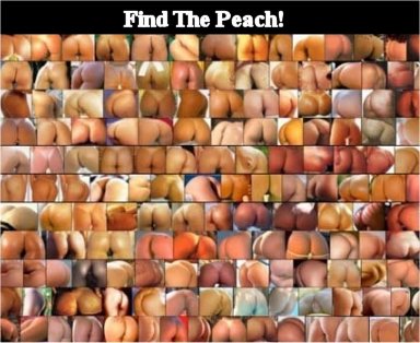 peaches.jpg