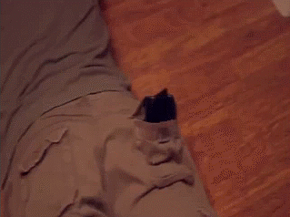 steam-sale-wallet.gif