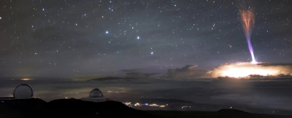 www.sciencealert.com